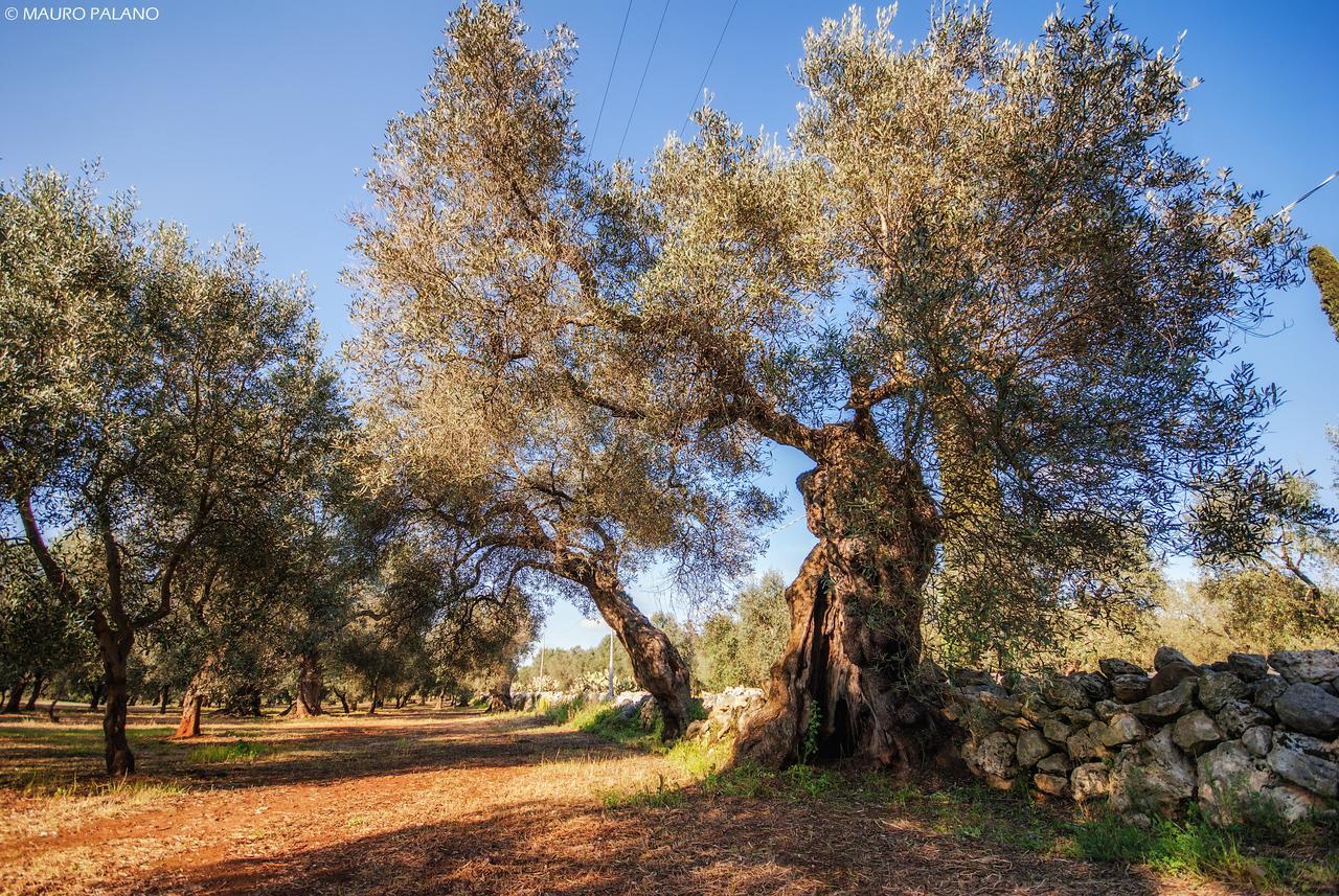 בורגאנייה Tenuta Kyrios מראה חיצוני תמונה