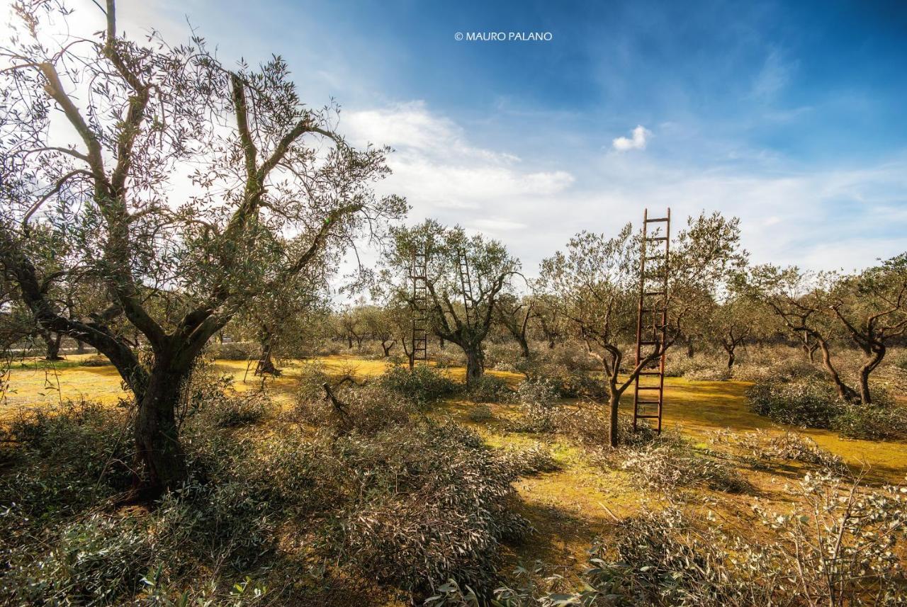 בורגאנייה Tenuta Kyrios מראה חיצוני תמונה